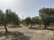 Arkadi Kreta, Asteri: Grundstück mit Meerblick zu verkaufen Grundstück kaufen